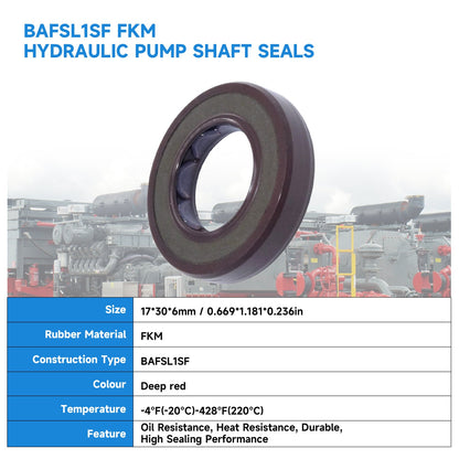 17x30x6mm FKM Double Lip Oil Seal | BAFSL1SF Type for Hydraulic Pumps